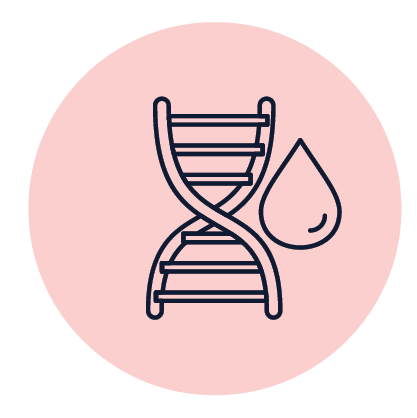 טיפול בשומנים בדם