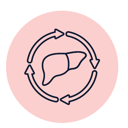 טיפול בכבד שומני